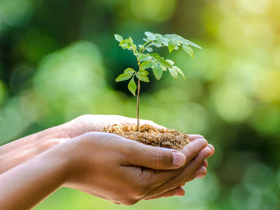 Image de ECOLOGIE