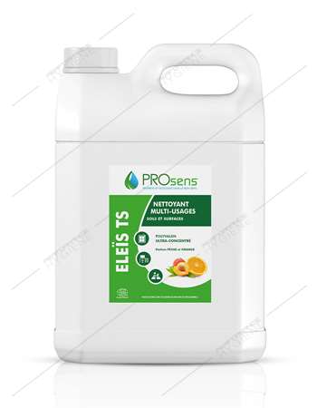 Image de ELEIS TS SOLS ET SURFACES - BIDON DE 5 L