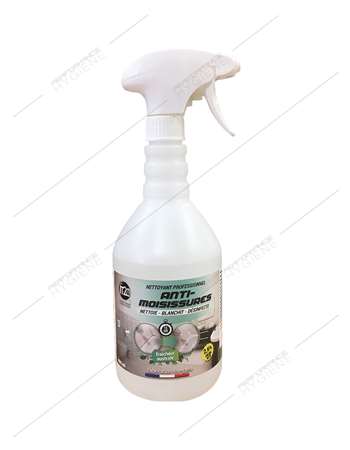 ANTI MOISISSURES IT2C 800 ML