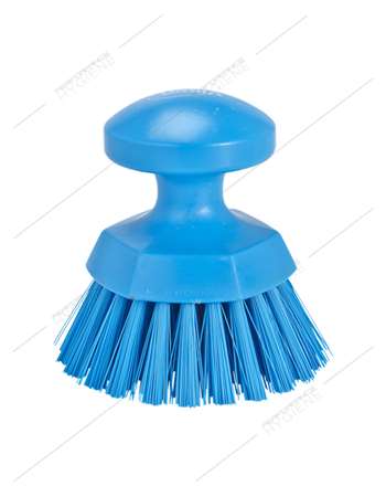 BROSSE RONDE SOLEIL BLEUE