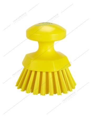 Image de BROSSE RONDE SOLEIL JAUNE
