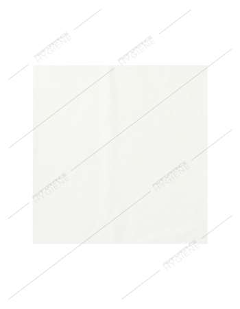 SERVIETTE BLANCHE 30 X 30 - 1 PLI - CARTON DE 3200