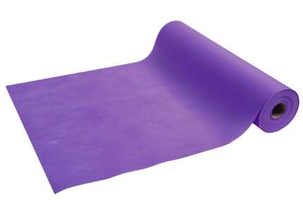 Image de TÊTE À TÊTE SPUNBOND L40X24M PRUNE COLIS DE 4