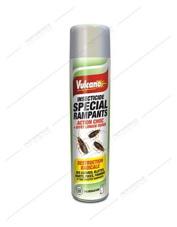 Image de Insecticide spécial rampants 600ml