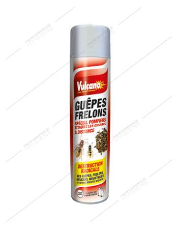 Image de Insecticide guêpes frelons 600ml