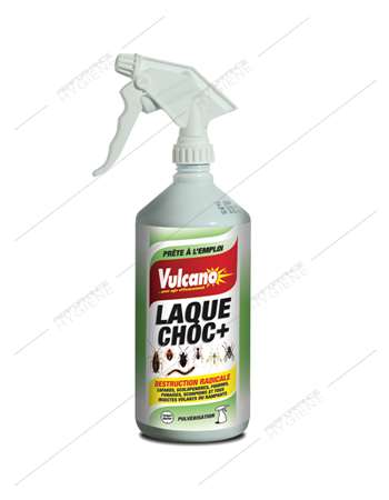 Image de Insecticide laque choc + 1L