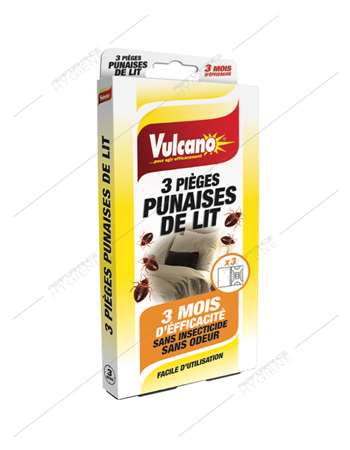 Image de Piège punaises de lit x3