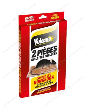 Image de VULCANO TABLETTES ENGLUEES RATS PAR 2