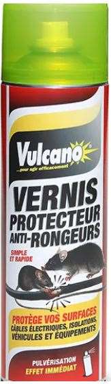 Image de Aerosol vernis protecteur