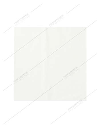 Image de SERVIETTE BLANCHE 39 X 39 - 2 PLIS - CARTON DE 1800